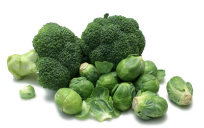 Broccoli,And,Brussels,Sprouts,On,White Broccoli,And,Brussels,Sprouts,On,White